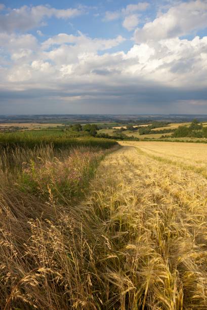 istock Farmland at Lark Stoke, Cotswolds 851820944