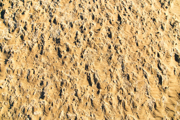 istock Sand in the desert as a background 851826296