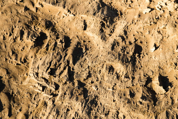 istock Sand in the desert as a background 851828676
