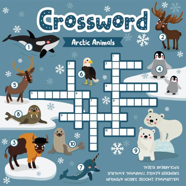 Crossword Puzzle Arctic Animals Stock Illustration - Download Image Now - Crossword  Puzzle, Polar Bear, Penguin - iStock