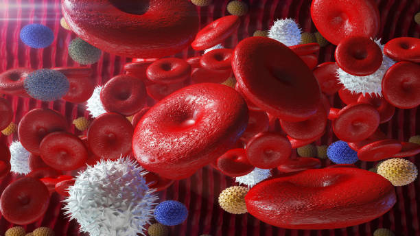 istock Red blood cells in artery 851837566
