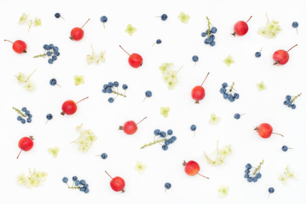 istock seasonal pattern of berries, Hydrangea flowers, mini apples 851854756