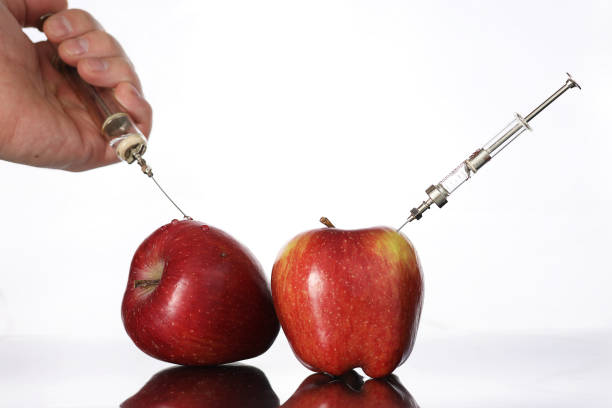 генетически модифицированные продукты, яблоко, перекачиваемое химическими веществами - injecting healthy eating laboratory dna стоковые фото и изображения