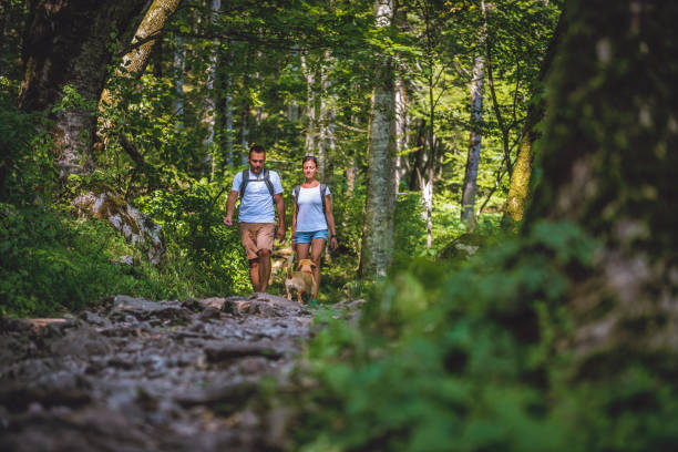istock Couple with a dog hiking in forest 851860080