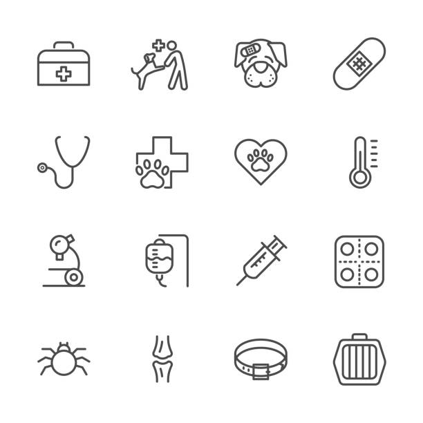 ilustrações de stock, clip art, desenhos animados e ícones de vet clinic, simple thin line veterinary medicine icons set. vector icon design - clínica veterinária