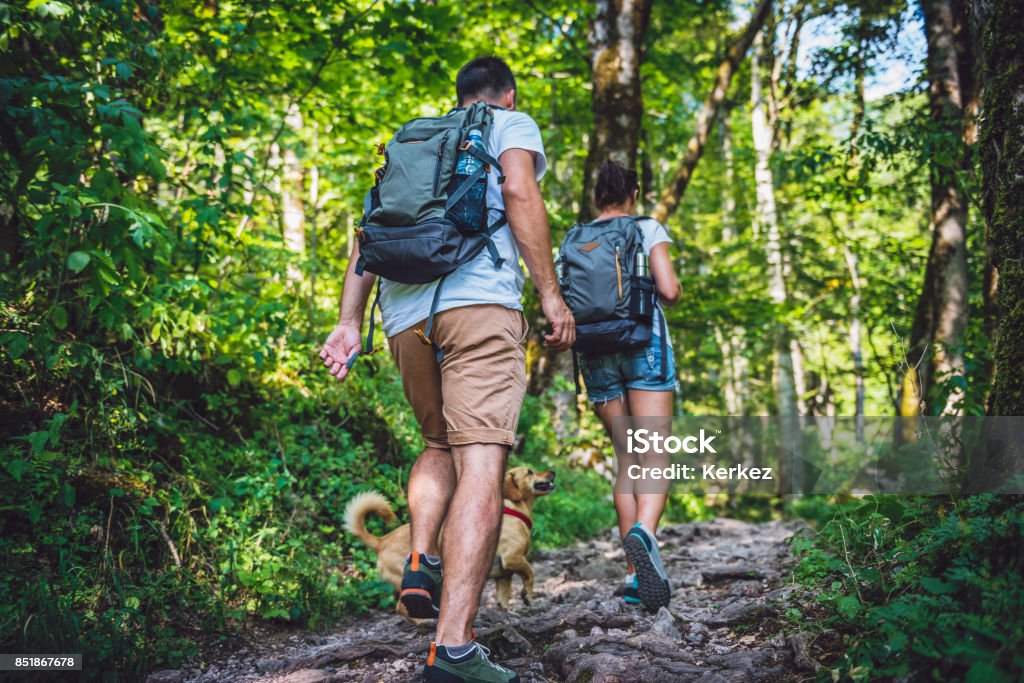 Zu zweit mit einem Hund, Wandern im Wald - Lizenzfrei Wandern Stock-Foto