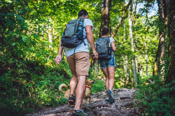 zu zweit mit einem hund, wandern im wald - hiking stock-fotos und bilder