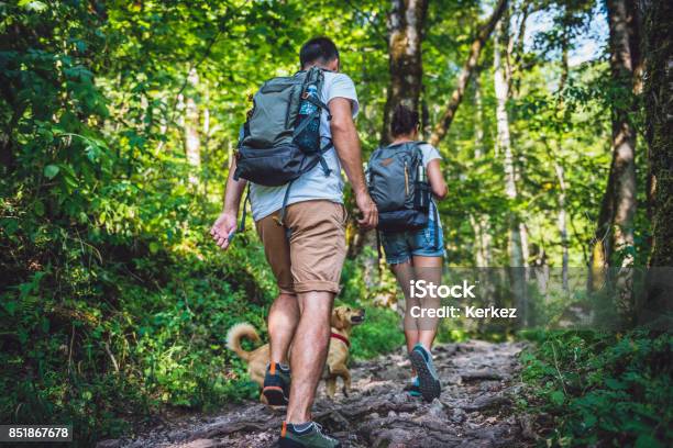 Zu Zweit Mit Einem Hund Wandern Im Wald Stockfoto und mehr Bilder von Wandern - Wandern, Gehen, Weg