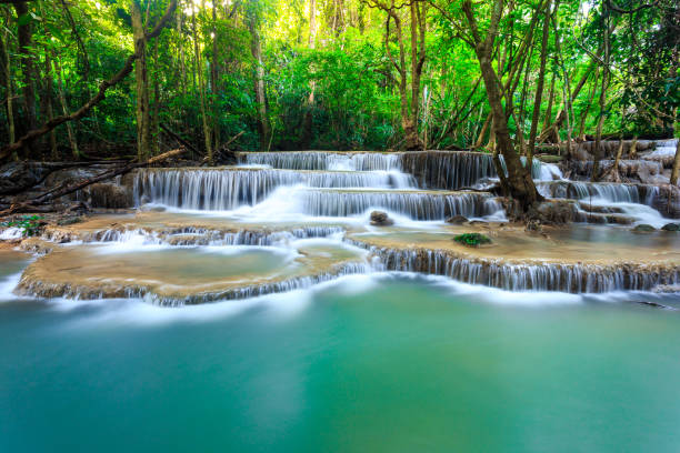 istock Beautiful waterfall in green forest in jungle 851868452