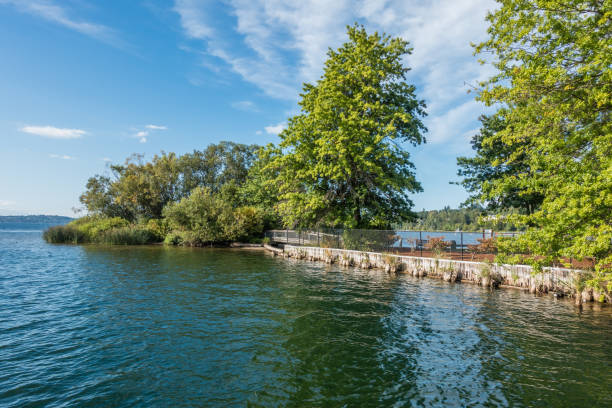 istock Gene Coulon Park Island 851868492