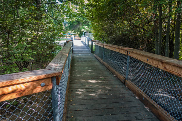 istock Gene Coulon Park Bridge 3 851868504