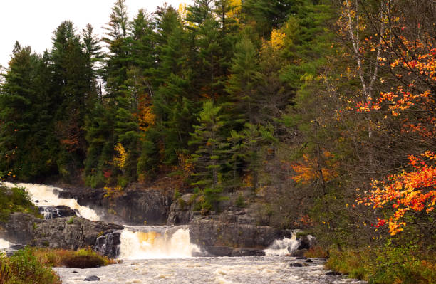 istock Stream with waterfalls in the woods colored with Autumn leaves. 851870062