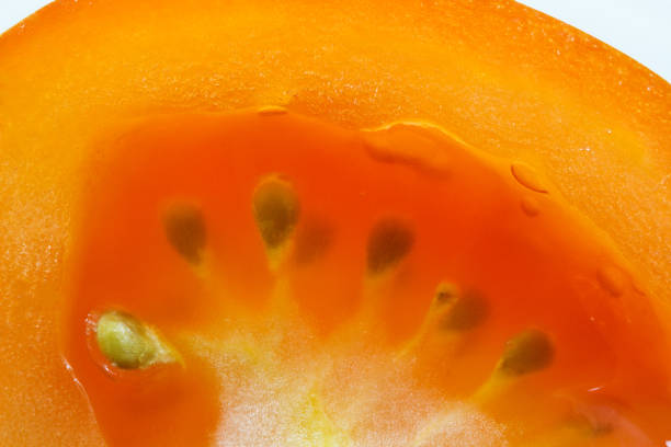 Detailed close-up of fresh Tomato slice background.