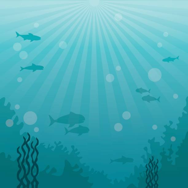 istock colorful background sea landscape underwater marine life 851874804