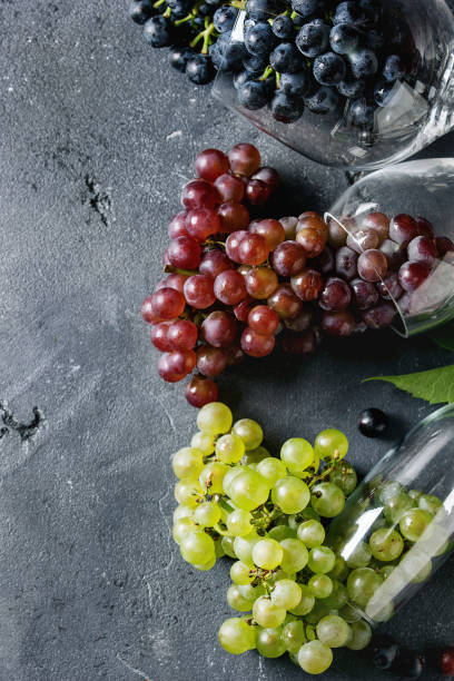 istock Variety of grapes 851876102