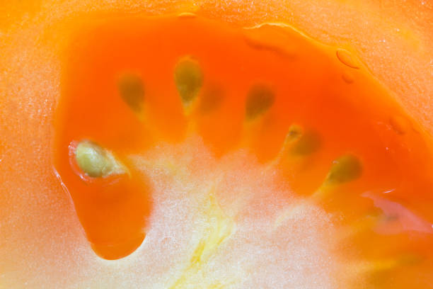 A detailed macro shot of a fresh, juicy tomato slice, highlighting its texture, seeds, and natural moisture. Perfect for food-related concepts.