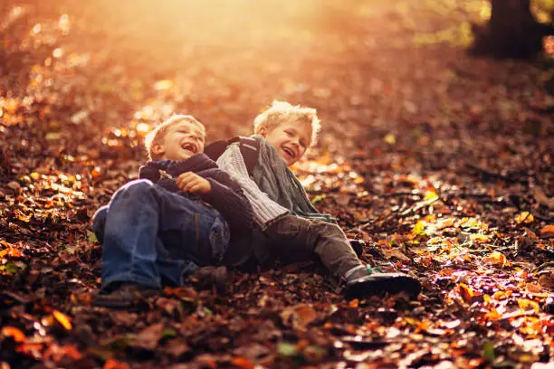 Little boys are playing in the autumn forest. The brothers have slipped and they are lying on the leaves and laughing.
