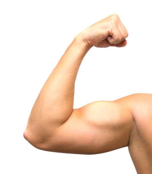 istock A muscular mans arm and shoulder flexing 851877528