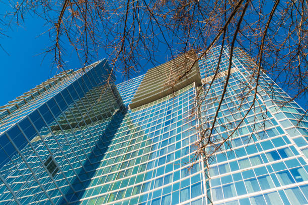 Bottom view of skyscraper and branches of bare tree on the background of clear sky, Atlanta, USA