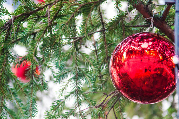 istock Blurred image. Close Up of red ball hanging from a decorated Christmas tree. 851885792