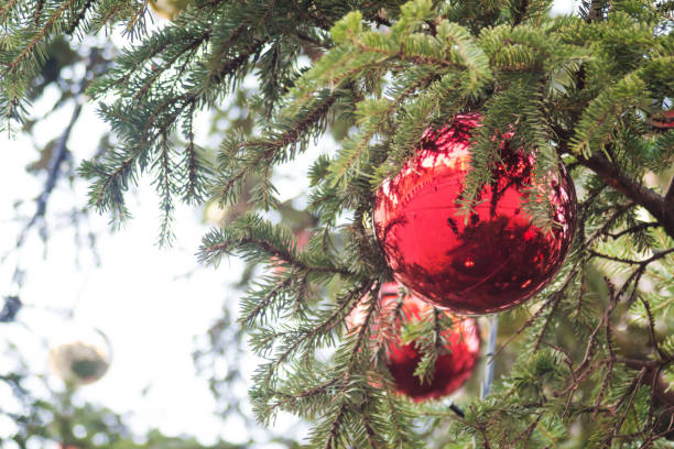 istock Blurred image. Close Up of red ball hanging from a decorated Christmas tree. 851891338