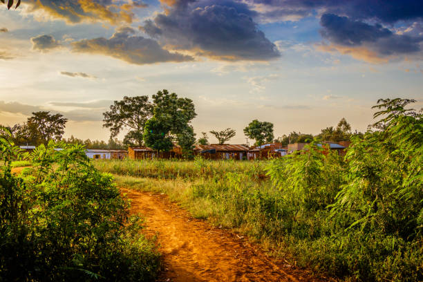 sipi の滝からの眺め - lake victoria ストックフォトと画像