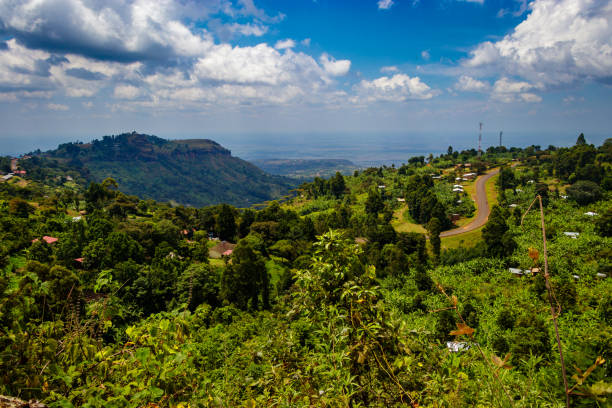 View from the Sipi falls View from the Sipi falls in the Mount Elgon national park in Uganda extinct volcano stock pictures, royalty-free photos & images