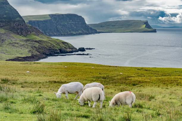 istock scenery of Scotland in summer 851904154