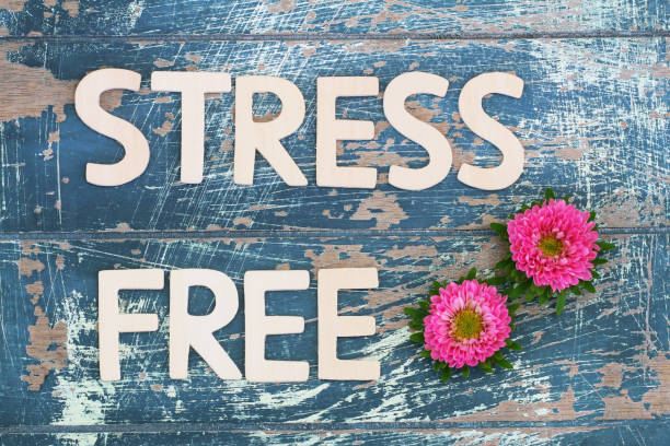 istock Stress free written on rustic wooden surface and pink daisies 851905028