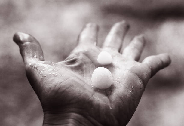 hail grains lay on the human palm black and white phto