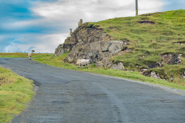 istock scenery of Scotland in summer 851907464