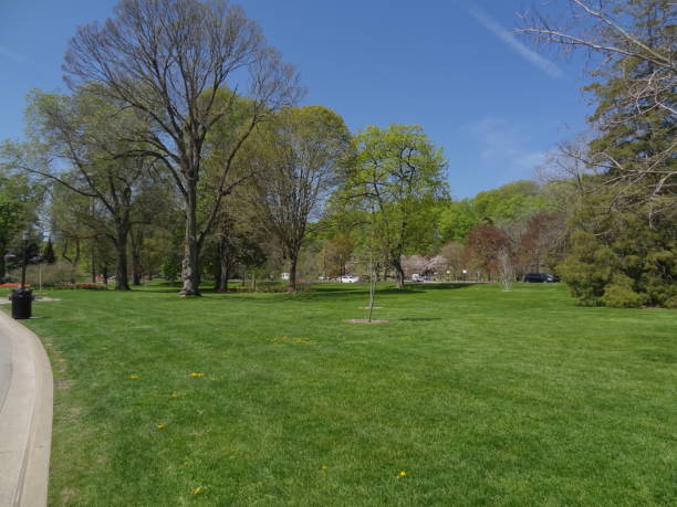 istock Queen Victoria Parc closed to the Niagara Falls 851908592