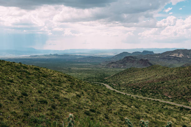 istock Winding Road in Big Bend National Park 851915878