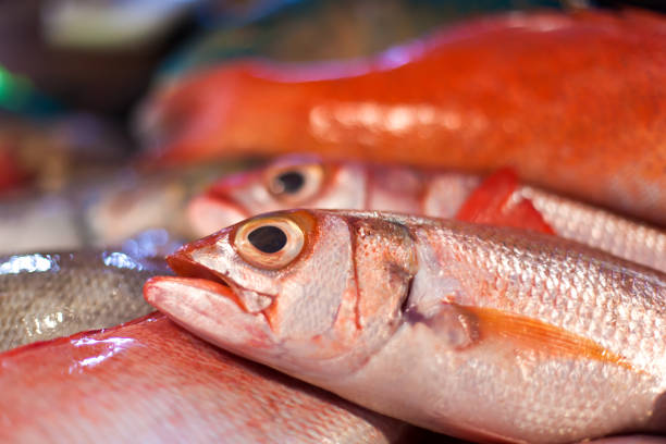 istock Lapu-lapu, red snapper and tuna, seafood on market 851916268