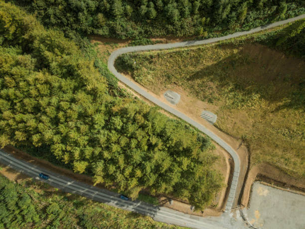 istock Aerial view of a pine forest and trails 851920412