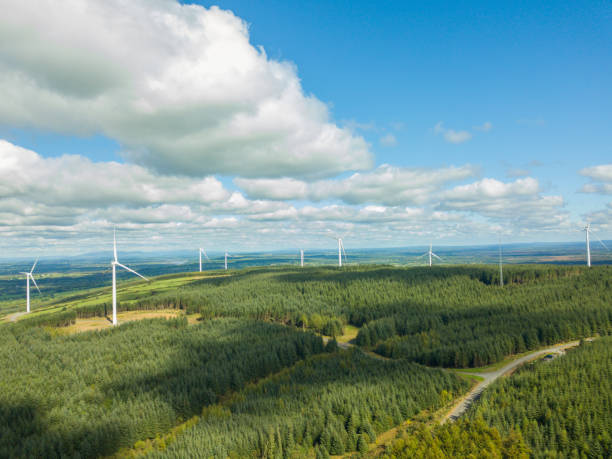 Wind turbines in a forest stock photo