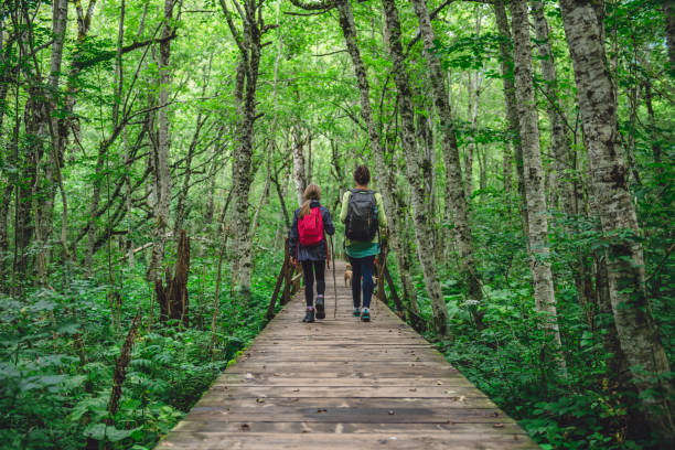 Mother and daughter hiking in forest