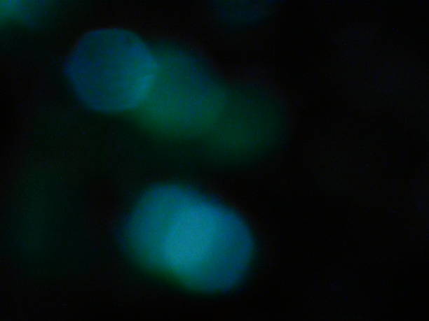 istock blurred green colors abstract background 851926760