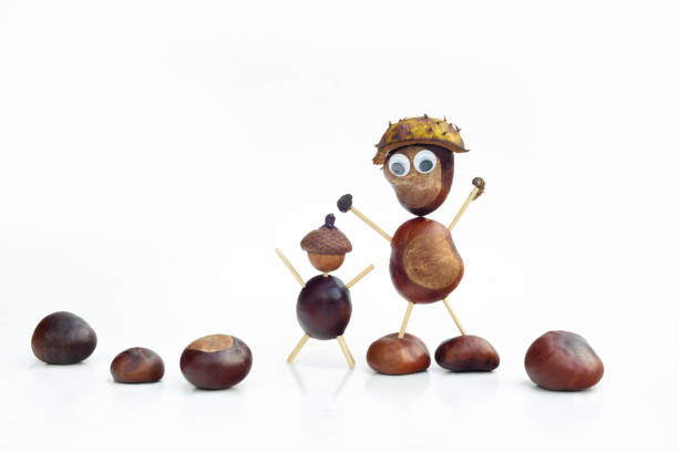 Funny human shape character or figurine made with chestnuts in white isolated background.