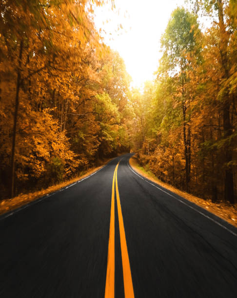 autumn road in new england