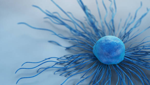 Cervical cancer cell Cervical cancer cell sem stock pictures, royalty-free photos & images