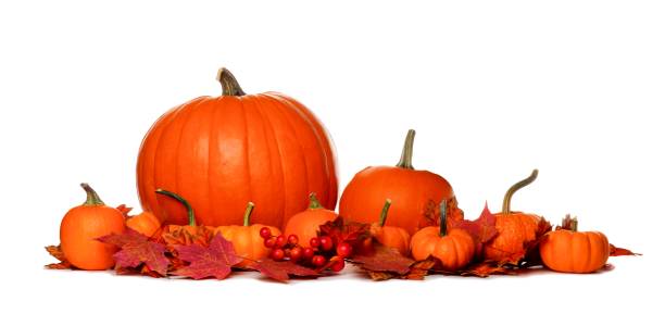 istock Autumn pumpkins and fall leaves border isolated on white 851933440
