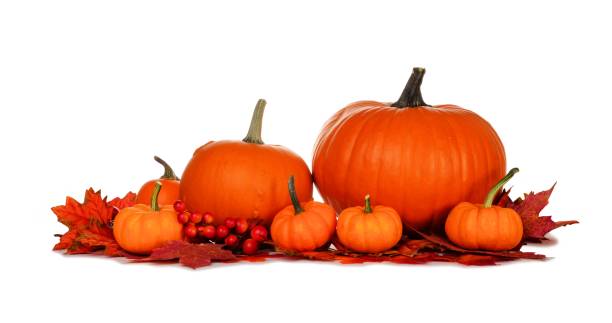 istock Autumn pumpkins and fall leaves isolated on white 851933562