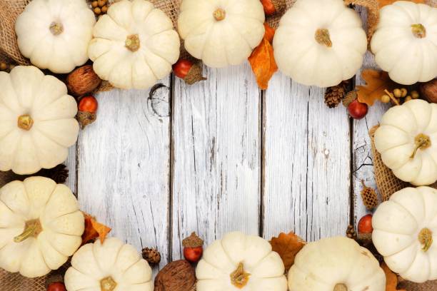istock White pumpkin and brown leaves frame over white wood 851933818