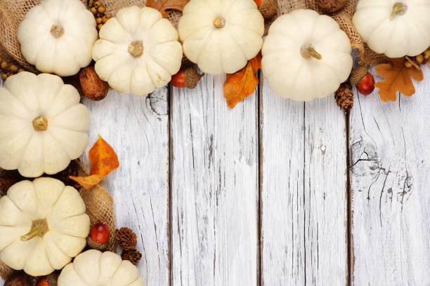 istock White pumpkin and brown leaves corner border over white wood 851933820