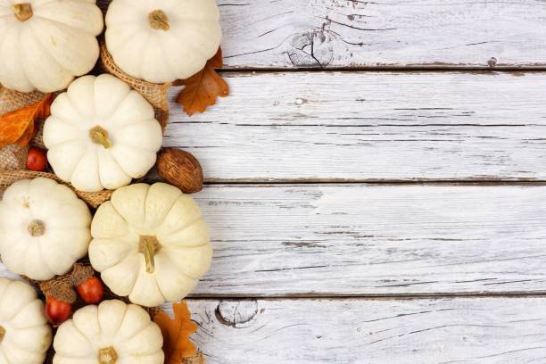 istock White pumpkin and brown leaves side border over white wood 851933830