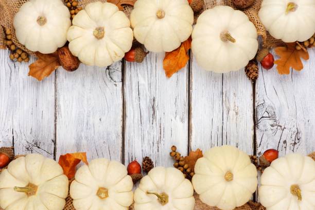 istock White pumpkin and brown leaves double border over white wood 851933838