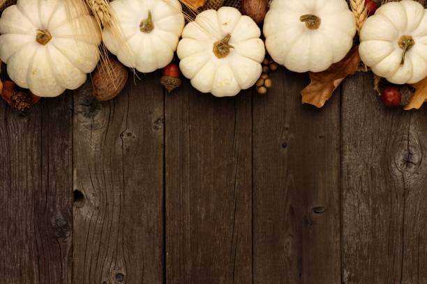 istock White pumpkin and brown leaves top border over rustic wood 851933868