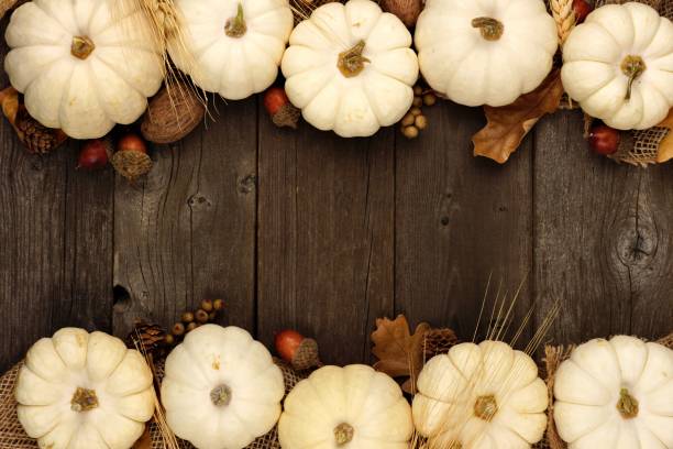 istock White pumpkin and brown leaves double border over rustic wood 851933894