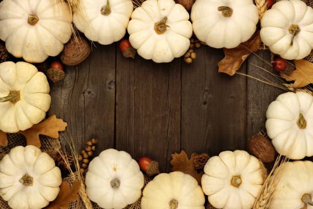 istock White pumpkin and brown leaves frame over rustic wood 851933900